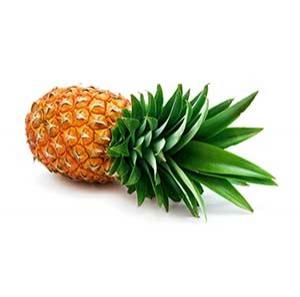 Pineapple juice
						extraction - Fratelli Indelicato srl