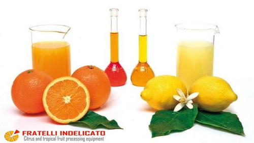 Citrus juice and oil
						extraction - Fratelli Indelicato srl
