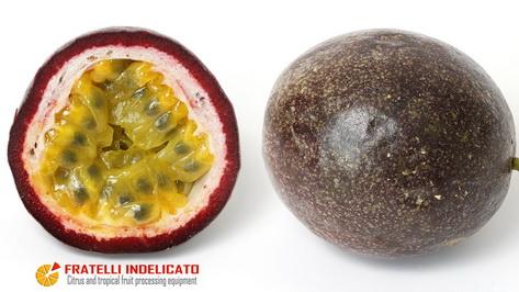 video passionfruit polyfruit