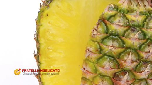 video pineapple polyfruit