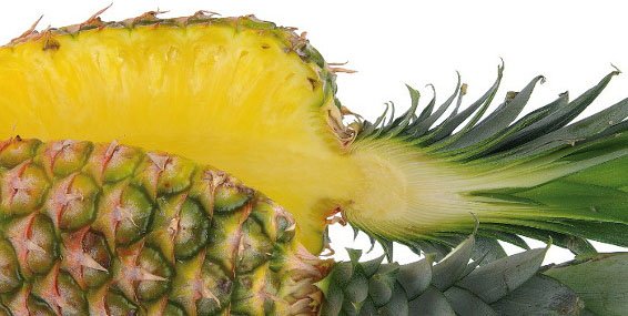 Fratelli Indelicato - Juice extraction from pineapple and tropical fruits