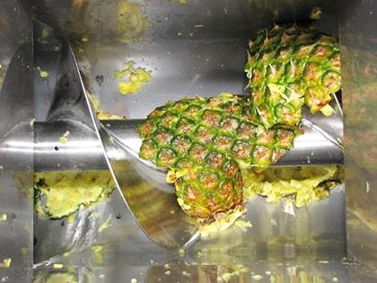 Scarto bucce di Ananas