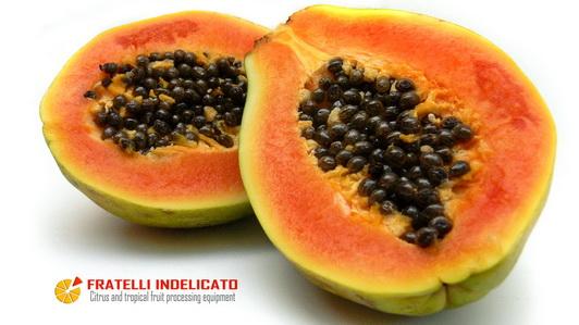 video papaya polyfruit